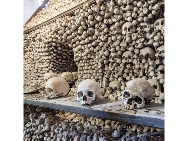 Private Guided Tour Prague to UNESCO Kutna Hora with Transfers
