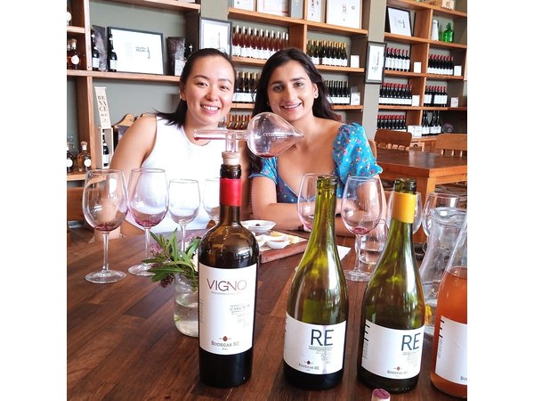 Casablanca Valley & Casa del Bosque - 3 Vineyards - Full day