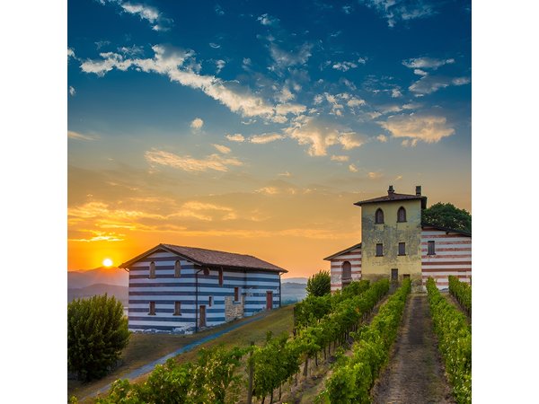 Bergamo and Franciacorta with lunch and cellar visit