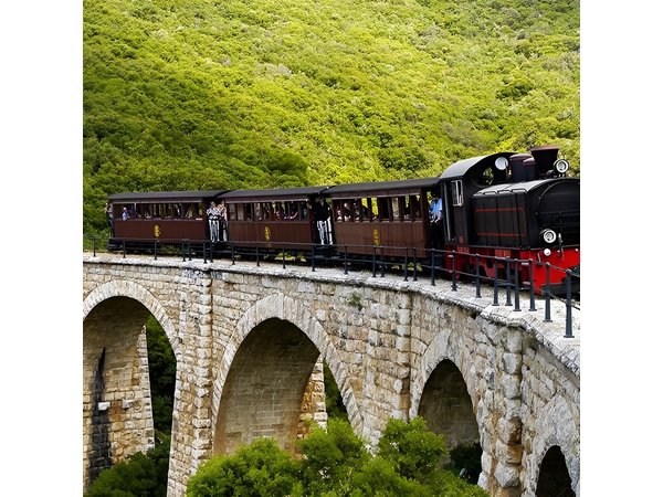 Volos Pelion Full Day Tour