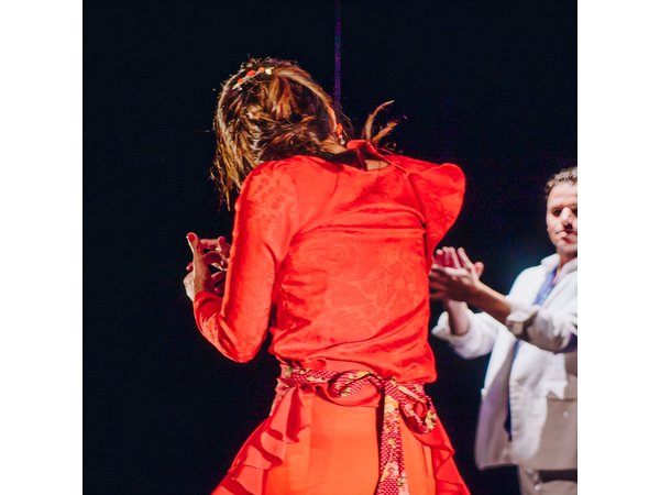 Flamenco Benalmadena Show