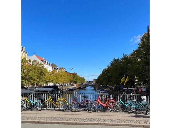 Bike Tour Copenhagen. Guide & Concierge Service, Small Grp