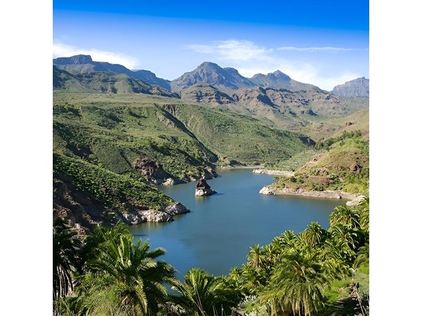 Guided tour: Discover Gran Canaria