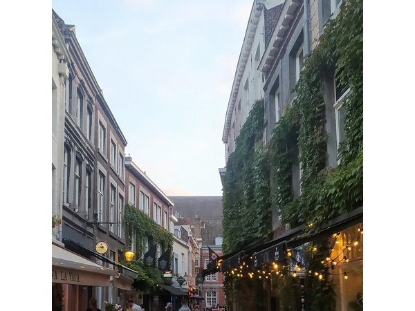 Maastricht Highlights 2 hours Private Walking Tour +Local Tasting