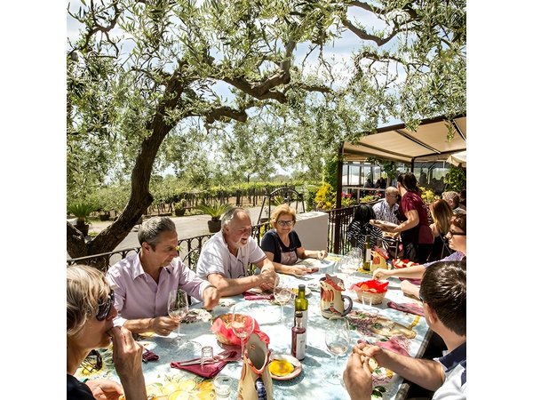 Scenic Wine Tasting & Lunch on the Slopes of Vesuvius from Naples