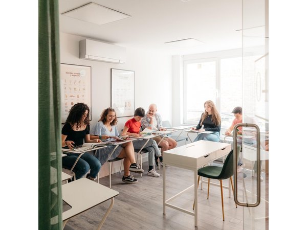 Spanish Group Course in Madrid, Spain: 30 Lessons