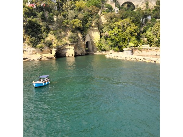 Naples : Snorkeling with a marine biologist & authorized guide