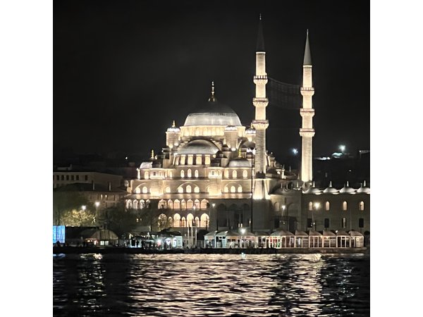 BEST Private Guided Istanbul Night Tour Halcyon