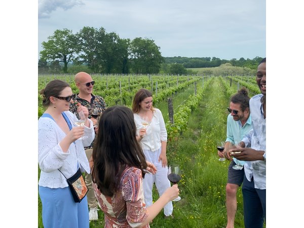 Half-Day Guided Wine Tasting Tour in Bordeaux Vineyards