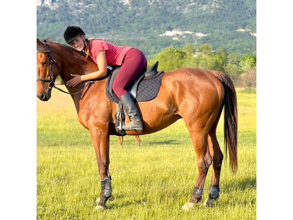 Horseback Riding Experience with transport from Dubrovnik