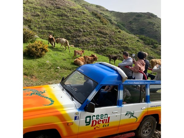 Shore Excursion Porto Moniz - Enchanted Terraces 4x4 tour