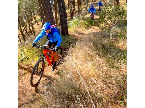 Pedals & Flavours: Sorrento oil and lemon tour