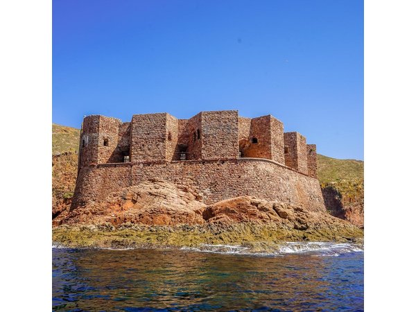 Berlengas Island Private Day Trip from Lisbon