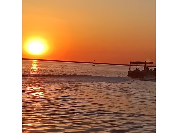 Sunset Tour | Ria Formosa - From Faro