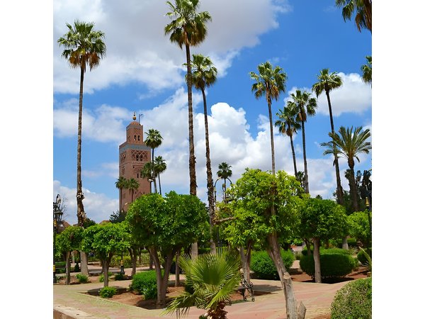 Private day trip to Marrakech from Casablanca