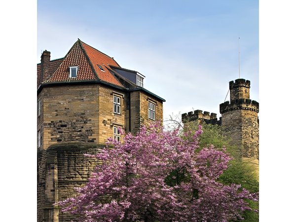 90 minute Old Newcastle Walking Tour - FREE castle entry