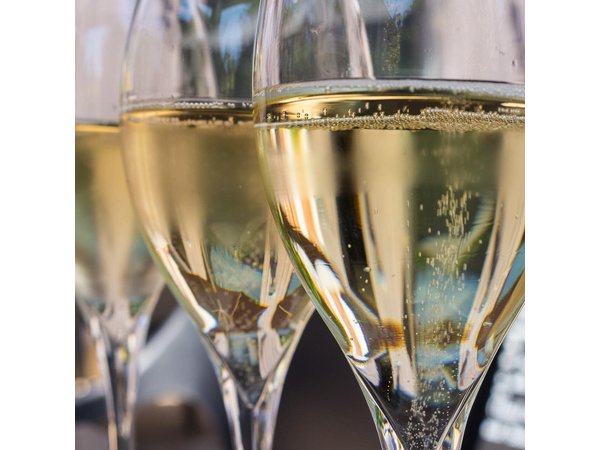 Champagne Tasting Tour Day Trip From Paris