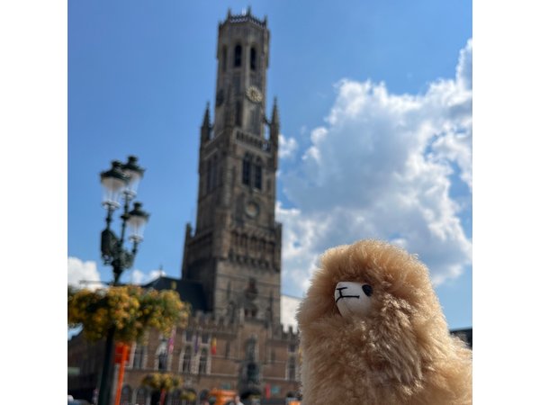 Private Full-Day Tour Bruges & Ghent from Brussels with tastings