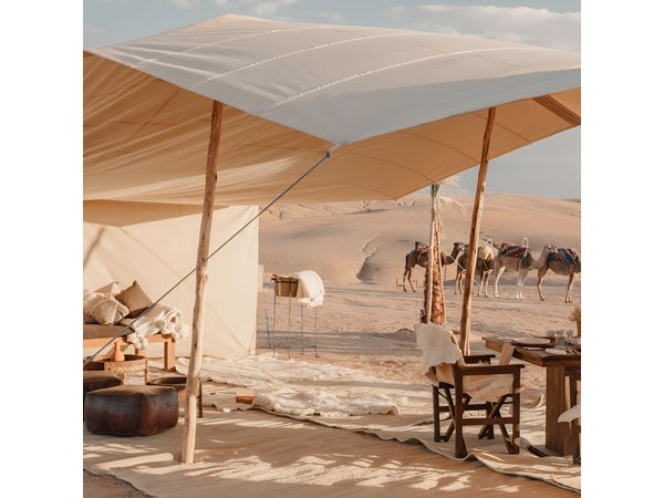 Nomad desert dinner camel ride & bonfire : Marrakech activity