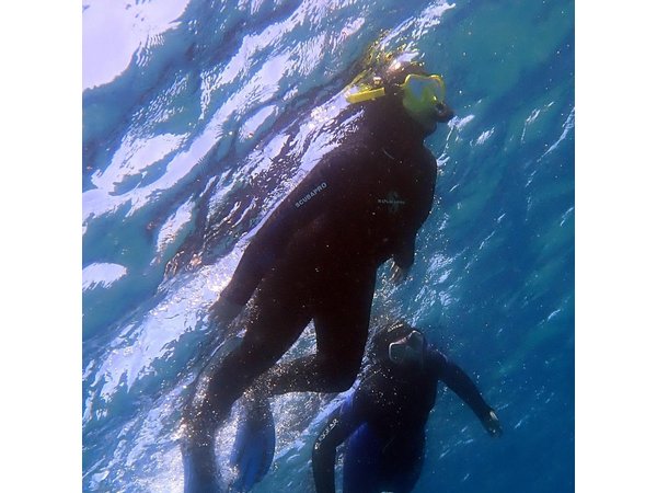 Snorkeling in Costa Teguise: 2-Hour Guided Tour in Lanzarote