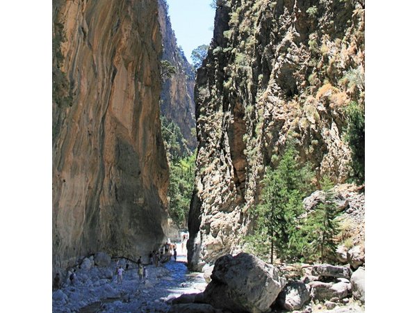 Samaria Gorge Hiking Tour from Chania with Professional Guide
