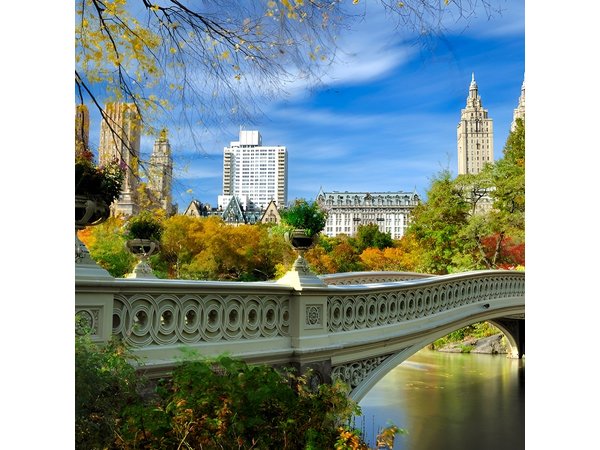 Half Day New York City Private Tour