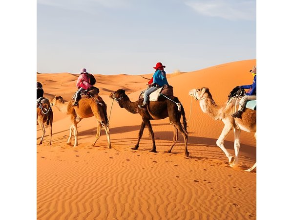 2Days groupe Tour Fes To Fes Or Marrakech Via Sahara Tour
