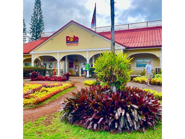 Oahu: Roundtrip Shuttle From Waikiki to Dole Plantation & Haleiwa