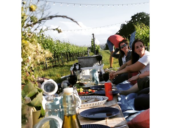 Wine Picknick overlocking vienna