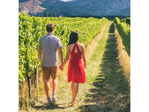 From San Francisco: Napa & Sonoma Valley Wine Tour with Tastings