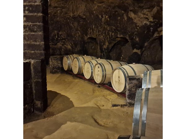 Wine Tasting in Montepulciano Private Tour from Rome