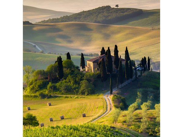 Montepulciano Noble Wines tour in Tuscany from Rome