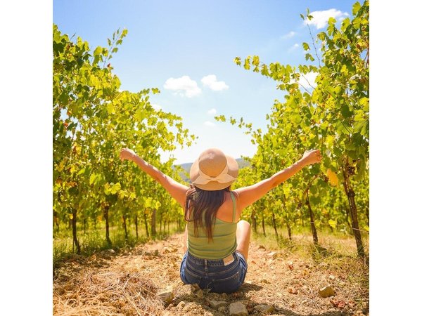 Half day Chianti Vineyard Escape from Florence with Wine Tastings