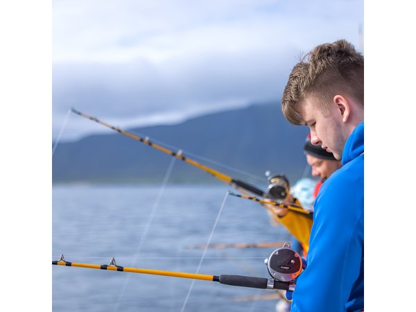 Sea Fishing Experience from Reykjavik