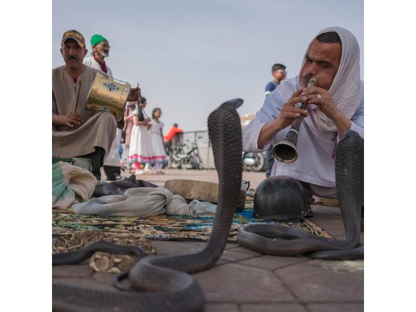 Marrakech day tour Immersion in Craft and Culture in VIP Van