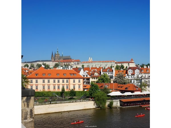 Explore the Historic Prague Castle: Private Half-Day Walking Tour