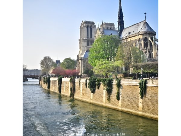 Paris by Night 2-hour Private Tour with Scenic Seine River Cruise