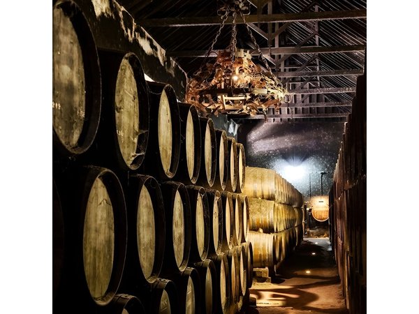 Azeitão Private Wine Tour from Lisbon – Premium Wineries