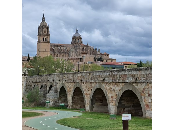 Salamanca and Avila Private Tour from Madrid with Hotel Pickup