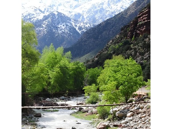 Atlas Mountains & Ourika Valley Private Day Trip From Marrakech