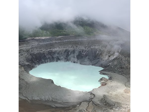 Poas Volcano, Local Coffee Farm and Birdwatching from San José