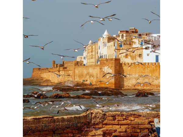 From Marrakech: Full-Day Trip to Essaouira City