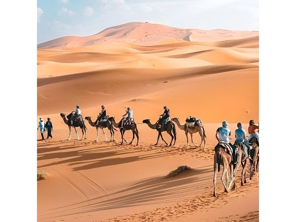10 Days Morocco Private Tour From Marrakech By South Desert And Imperials Cities