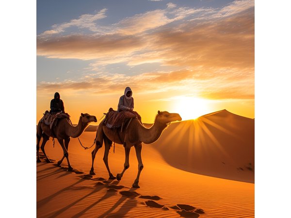 15 Days Morocco Private Grand Tour From North To South Starting From Casablanca