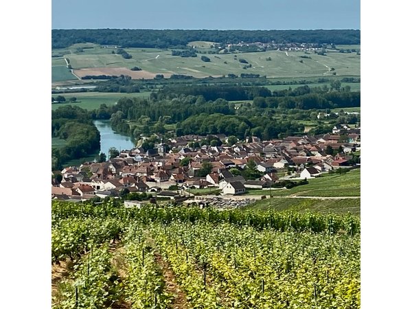 Moet et Chandon Veuve Clicquot Private Champagne trip from Paris