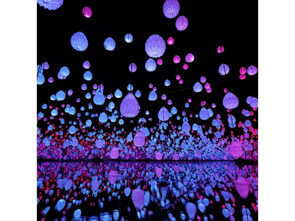 ARTE Museum Immersive Digital Art Experience in Las Vegas