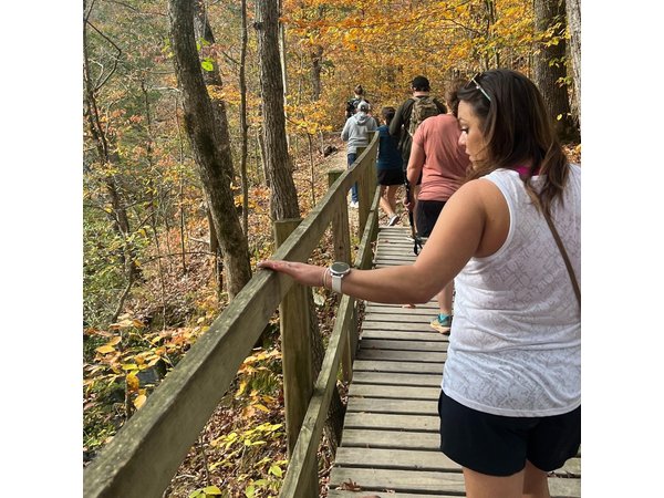 Waterfall Wonders Hiking Tour with Brewery Stop from Nashville