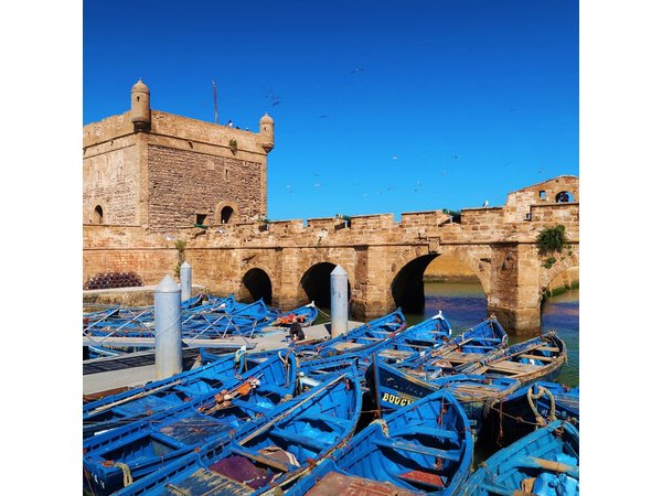 From Marrakech: Private Day Trip to Essaouira