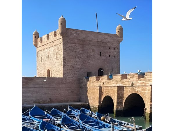 Full Day Tour From Marrakech To Essaouira Mogador