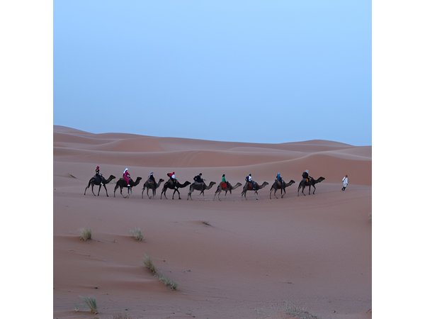 Morocco Tours 10 Days from Casablanca : Imperial Cities & Sahara Desert